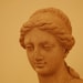 TheCaseMuseum