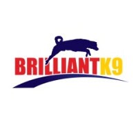 Brilliantk9 hot sale