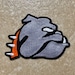 Zac Leonard