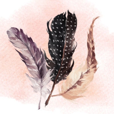 7 feathers 7 feathers