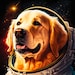 AstroDoggo