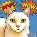 Buyer Avatar