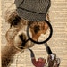 BookwormSalon