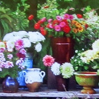 CGMGallery