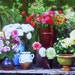 CGMGallery
