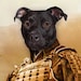 Buyer Avatar
