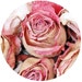 PetalesBoheme