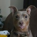 Buyer Avatar