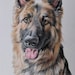 ArtByGalini