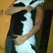 Buyer Avatar