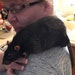 PamperedPetsPeople