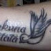 Buyer Avatar