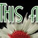 LynnesThisandThat avatar