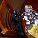 Buyer Avatar