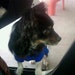 Buyer Avatar
