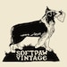 SoftpawVintage