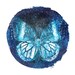 Stardust Butterfly