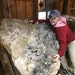 thecuttingwheel