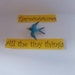Buyer Avatar
