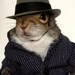 MildManneredSquirrel avatar