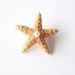 Little Star
