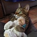MartyMerlinCrochet