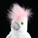 Buyer Avatar