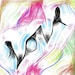 Buyer Avatar