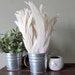 The Feather Shop