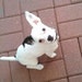 sashlee11121 avatar