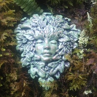 WebsofEnchantment