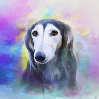 DogoholicShop DogoholicShop