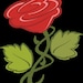 Buyer Avatar