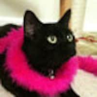 MogsTogs
