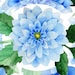JADesigns31