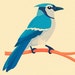 BLUEJAYARTSHOP