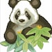 HobbyPatternStore