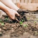 TheGoodSeedStudio