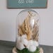 StefeReveCreations