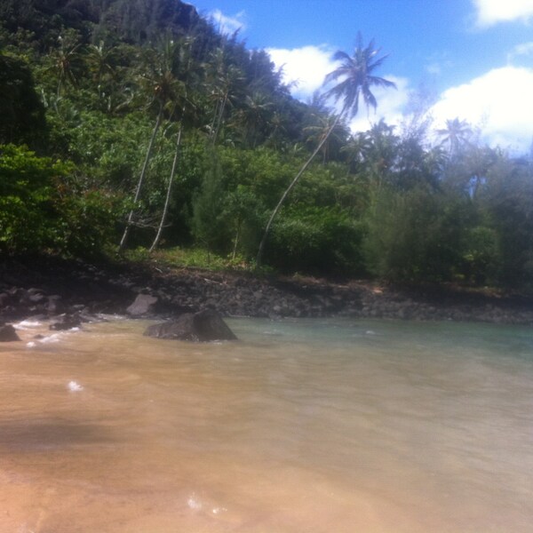 I Just Look Illegal T-shirt worn by Sergio Romo of the SF Giants - Etsy