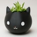 Meow3DStore