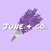 Buyer Avatar