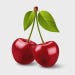 CherryQuillCrafts