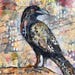 Tracy Maisch