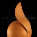 Guy Morse-Brown