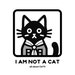 IamNOTaCATstore