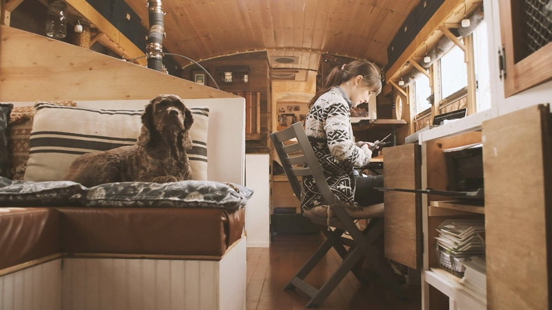 Printable Party Decor Favors Pet Portraits And Par Kudzumonster