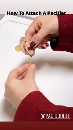 pacidoodle