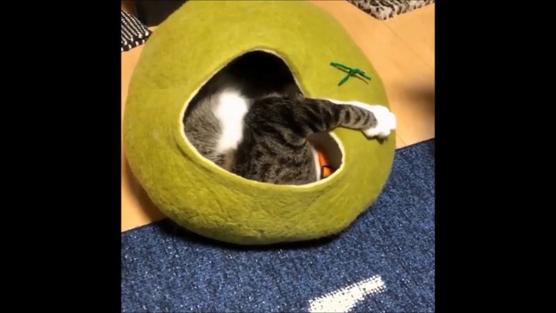 Lit De Chat Maison Cave Feutre De Laine Par Kivikis Sur Etsy