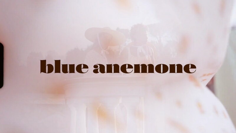 blue anemone clothes